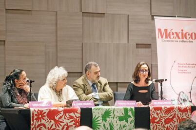 México tiene una luz difícil de soslayar: Paula Gerard