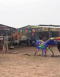 Se reducen accidentes pirotécnicos, dice Imepi