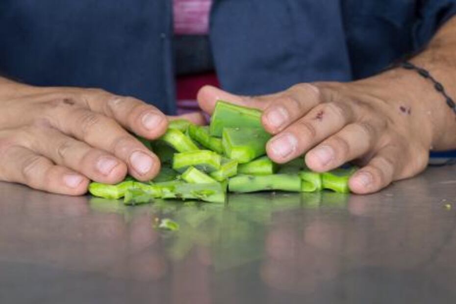 Michoacano crea ladrillos con nopal 