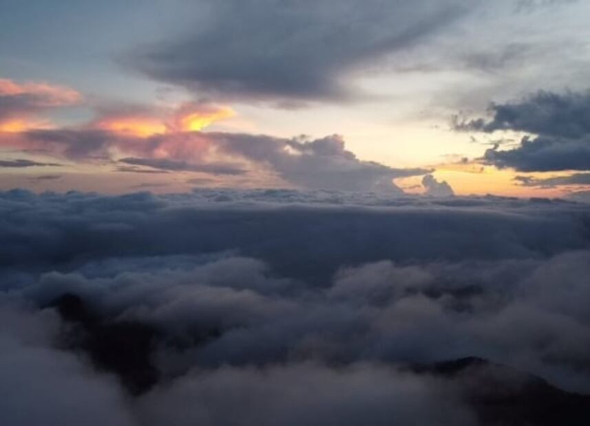En Oaxaca, lánzate a las cabañas del Bosque de los Duendes y de las Hadas