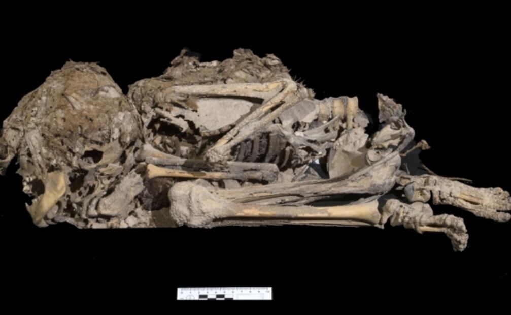 Muestran nuevos fragmentos de pergamino bíblico hallado en cueva del desierto de Judea
