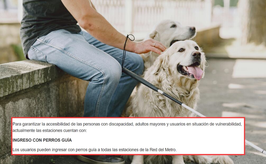 Entre los servicios que ofrecen las estaciones del Metro está el ingreso a personas con discapacidad visual y perros guías. Foto: Captura de pantalla