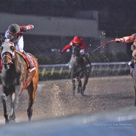 Icebow hace la chica en el Hipódromo de Las Américas