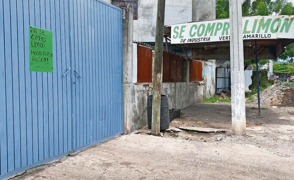 Uno de los centros de acopio del cítrico, ubicado sobre la carretera
Apatzingán-Aguililla, decidió parar actividades debido a las extorsiones. Foto: Carlos Arrieta / EL UNIVERSAL
