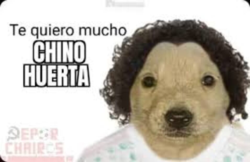 Memes Pumas