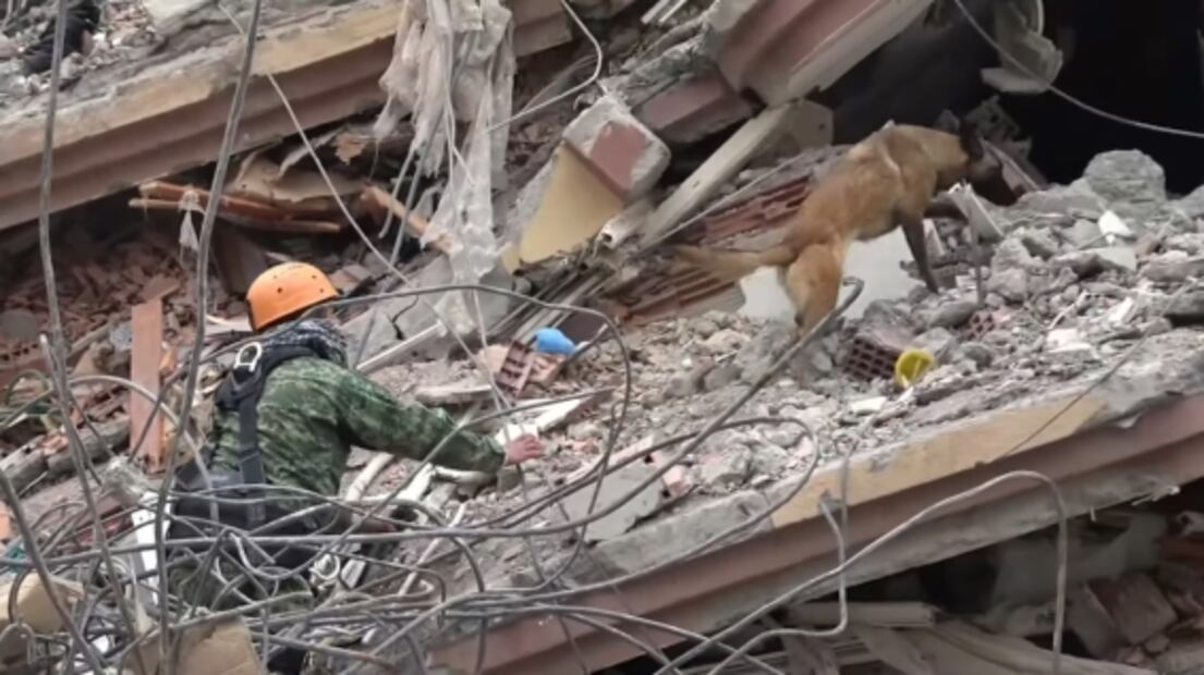 ¿Cuántos rescates ha logrado México en Turquía tras el terremoto?