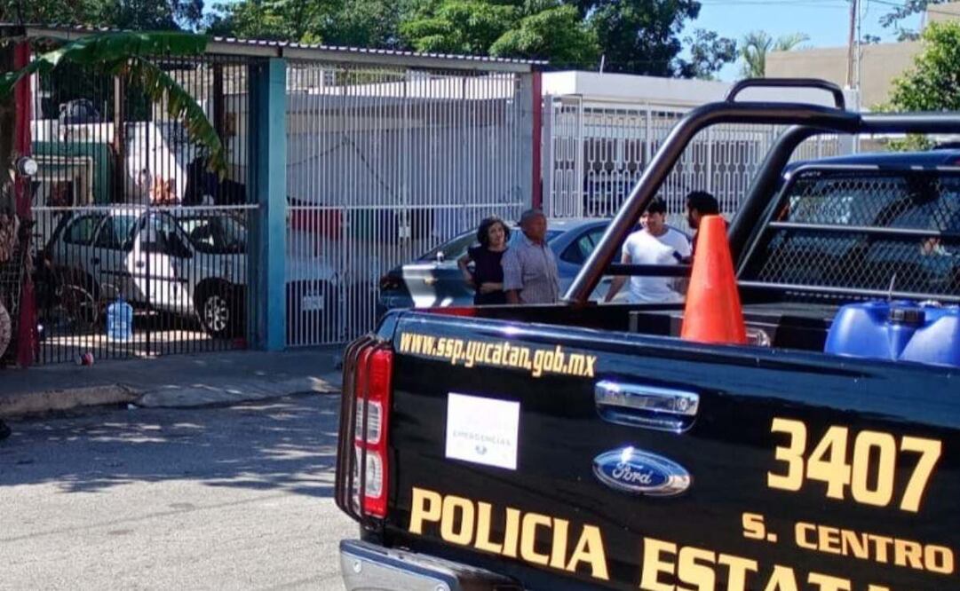 Sin freno la crueldad animal en Yucatán (20/11/2025). Foto: Especial