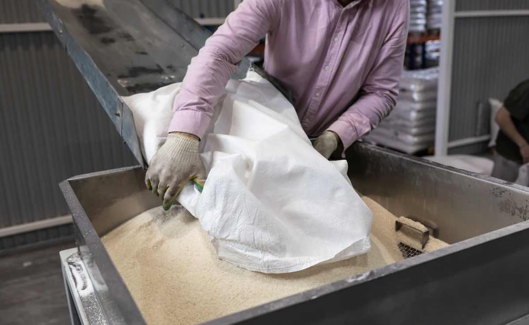 México logra regularizar el acceso de la industria azucarera y de los productores de caña de azúcar mexicanos al mercado estadounidense / Foto: iStock