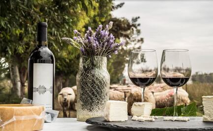 Arranca “Caminos de Querétaro Gastrofest”, experiencias gastronómicas de queso, arte y vino