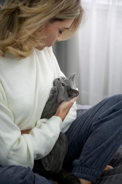 El lenguaje de los gatos. Fuente: Freepik.