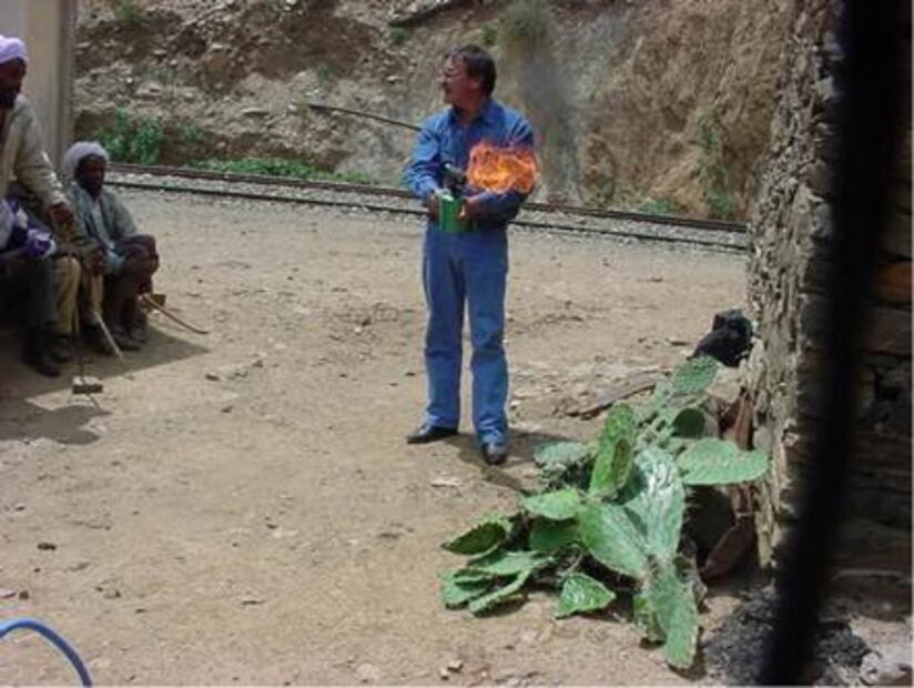 Mexicano combate hambre con nopal en África