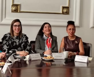 Titular del Consejo para Prevenir y Eliminar la Discriminación de CDMX pide aumento presupuestal del 15%