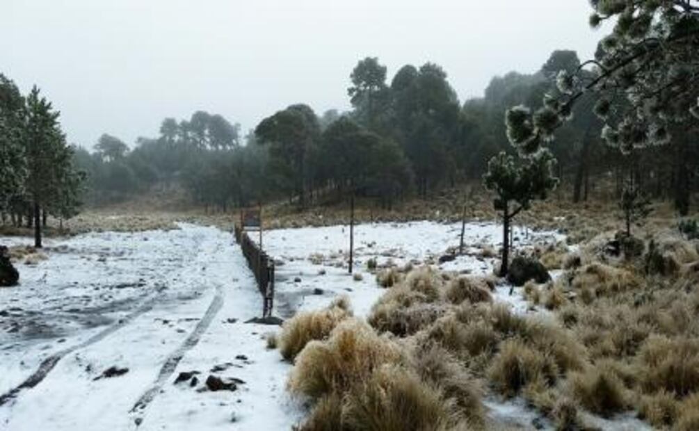 Cofre de Perote amanece cubierto de nieve en Veracruz