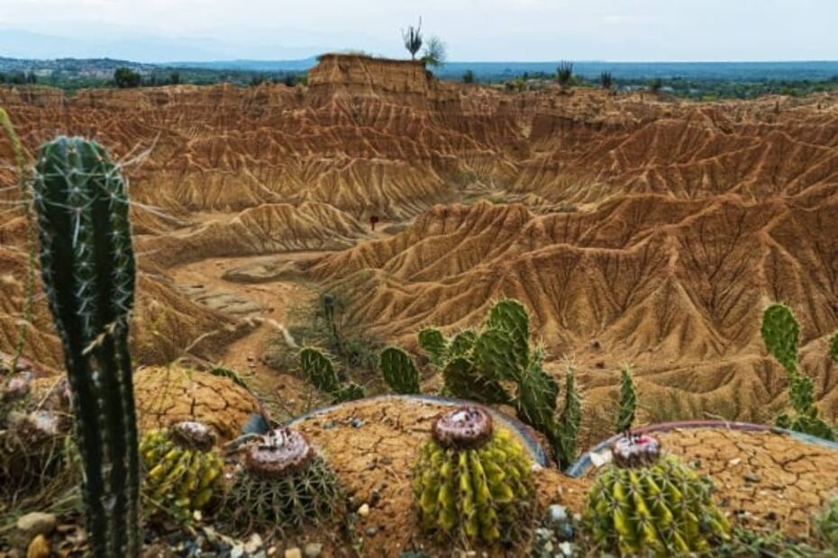 5 de los desiertos más bellos de América