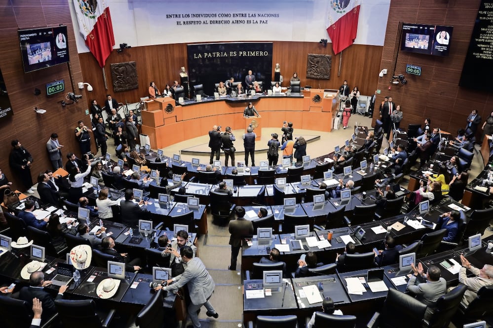 Reforma electoral arriesga la pluralidad y favorece a cúpulas: expertos. Foto: de Fernanda Rojas:FERNANDA ROJAS