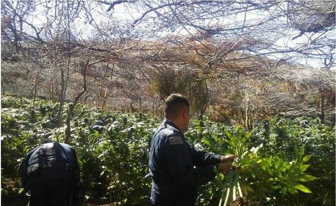 Photo: Laura Sánchez