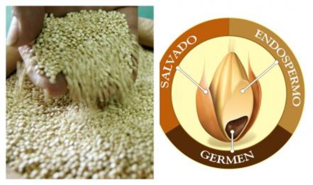 Cereal completo, fuente de vida