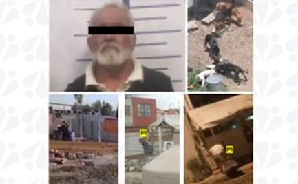 Caen dos sujetos por crueldad animal en Puebla; uno mató a dos perros y el otro agredió a un can a machetazos
