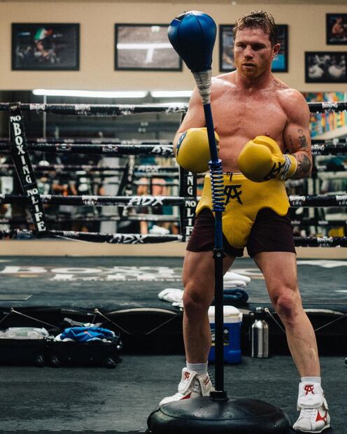 Canelo. Fuente: Instagram @canelo