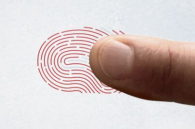 Crecen intentos de fraude cibernético