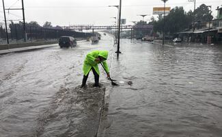 Lluvias generan afectaciones en CDMX; reportan encharcamientos, árboles caídos y viviendas dañadas
