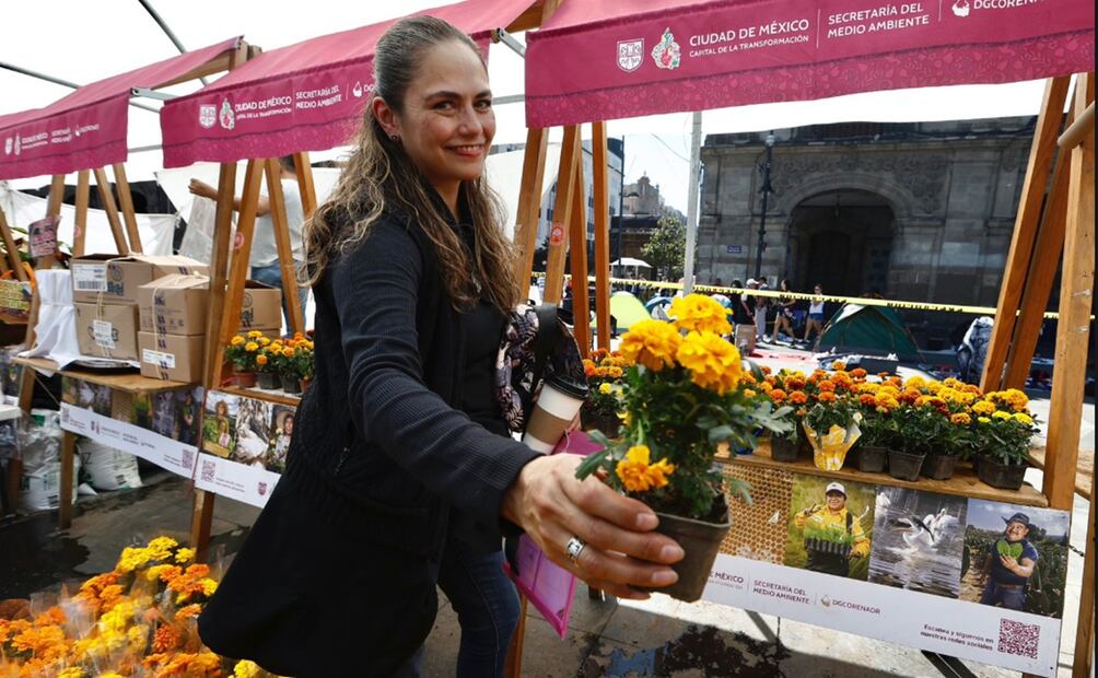 Productores de flor de cempasúchil venden su producto en el Zócalo de la Ciudad de México con precios que van de los 20 a 45 pesos, dependiendo del tamaño y la variedad de la flor, el 27 de octubre d e2025. Foto: Berenice Fregoso/EL UNIVERSAL