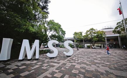 Austerity at the IMSS sparks crisis