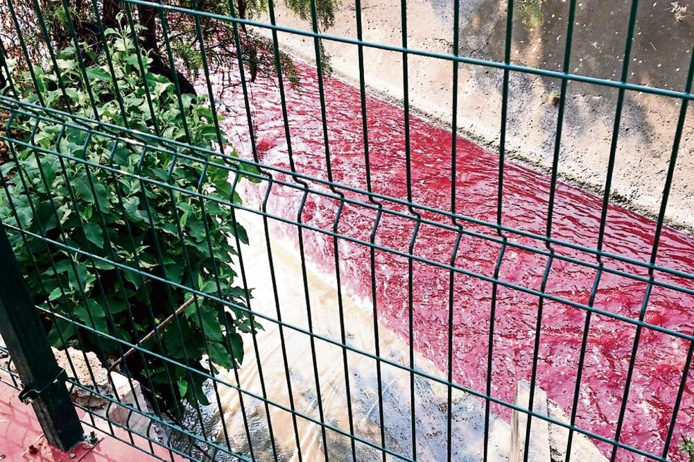 El rojo intenso que los vecinos de Echegaray y La Florida observaron en el agua proviene de una empresa textilera, informaron las autoridades (CORTESÍA)