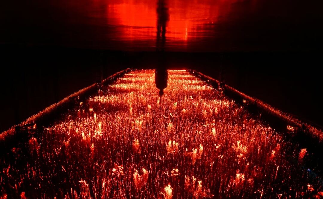 Arte experiencial con instalaciones gigantes, esculturas LED y gastronomía en CDMX. Foto: MUFO: Museo del Futuro