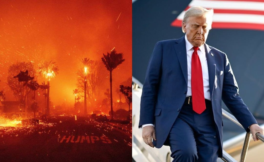 Trump irá a Los Ángeles y Carolina del Norte el viernes en su primer viaje oficial. Foto: Especial/El Universal