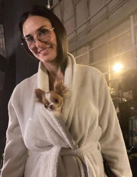 Demi Moore entra al Museo del Louvre con su perrito y la critican en redes