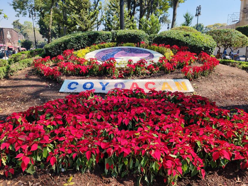 El kiosco, el Palacio de Cortés, el Jardín Centenario y el Jardín Hidalgo, lucen adornos y luces multicolores. (Foto: especial)