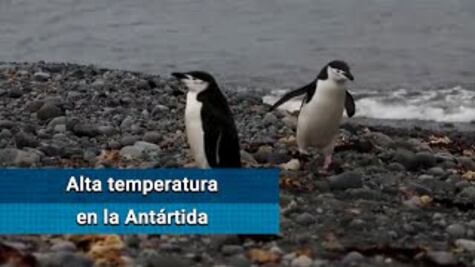 La Antártida alcanza temperaturas récord