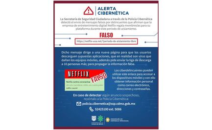 SSC alerta por falsas suscripciones a Netflix para cometer delitos