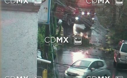 Atienden bomberos de la CDMX 18 árboles caídos y 14 encharcamientos