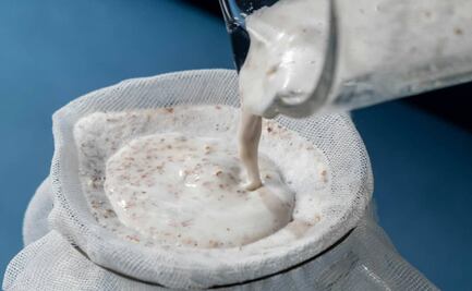 ¿La leche vegetal es realmente leche?