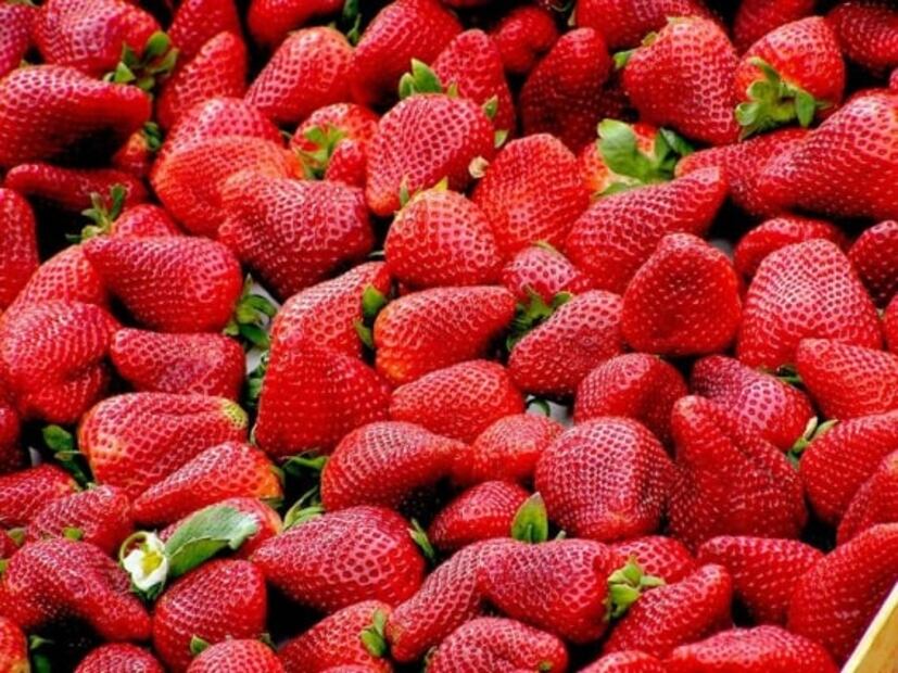 Mitos sobre las frutas: comerlas te hacen engordar, ¿qué tan cierto es?