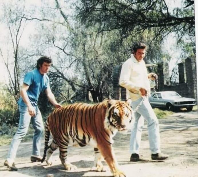 Falleció Miguel Gurza, actor, cineasta y amante de animales; tuvo más de 100 especies a su cuidado 