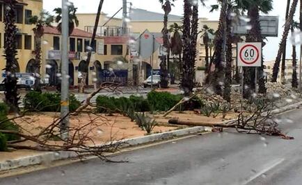 "Newton" deja sin luz a 104 mil usuarios en Sonora