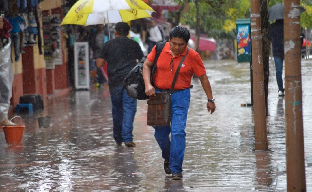 Foto: Dassaev Téllez / EL UNIVERSAL   