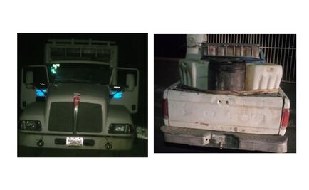 Aseguran un león a huachicoleros en toma clandestina en Hidalgo