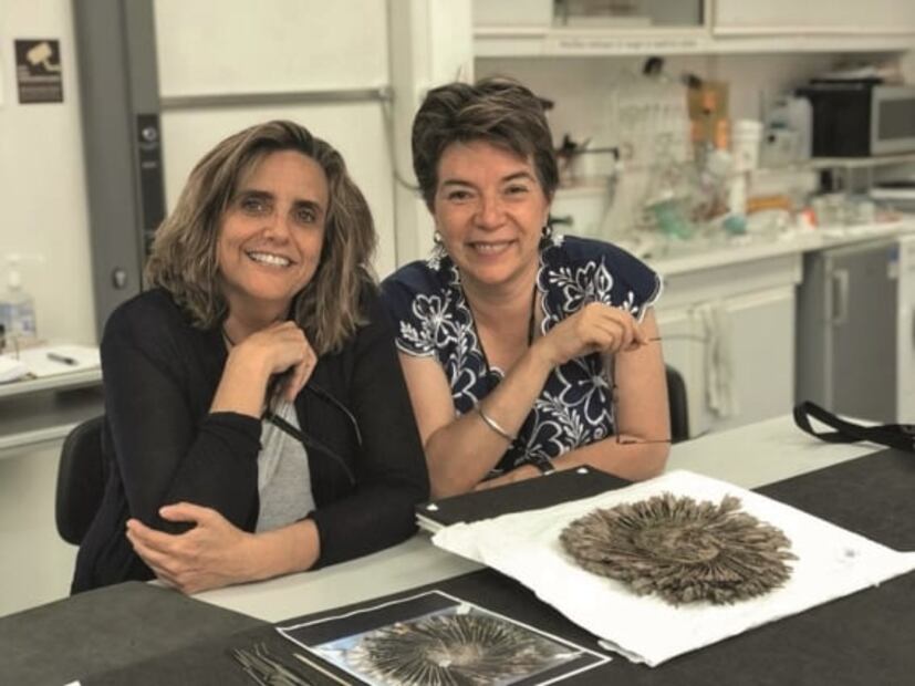 "Penacho de Cuauhtémoc" no es prehispánico ni de Mesoamérica, revela estudio