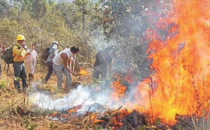 Estudiantes de CBTis crean sistema que alerta de incendios forestales en 5 minutos