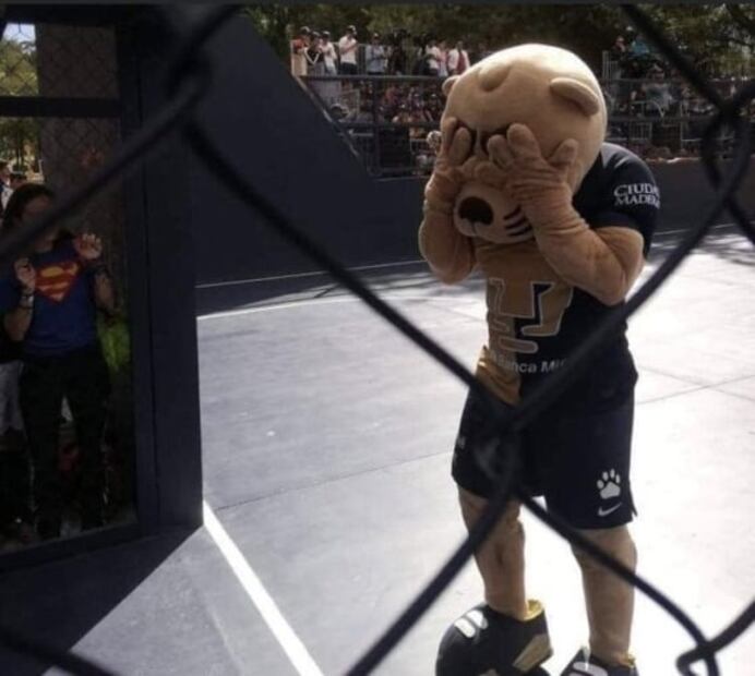 Los Memes destrozan a Pumas por su derrota ante Tigres