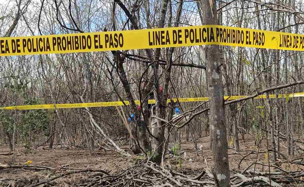 Una llamada anónima condujo al hallazgo de 3 crematorios clandestinos usados por el CJNG en Jalisco (27/01/2025). Foto: Cortesía