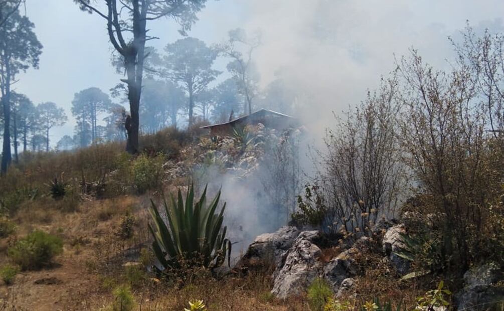Incendio en Oaxaca. Foto: Especial