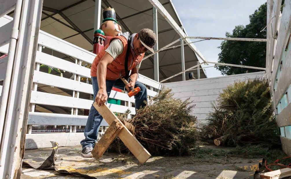 Personal se encarga de convertir los arboles en composta (07/01/2025). Foto: Yaretzi M. Osnaya  / EL UNIVERSAL