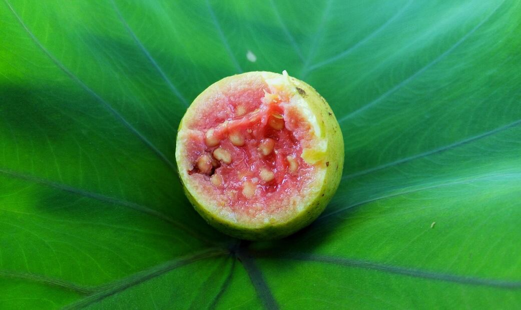 La guayaba destaca como una fruta completa, accesible y rica en nutrientes esenciales para el bienestar diario. Foto: Pixabay