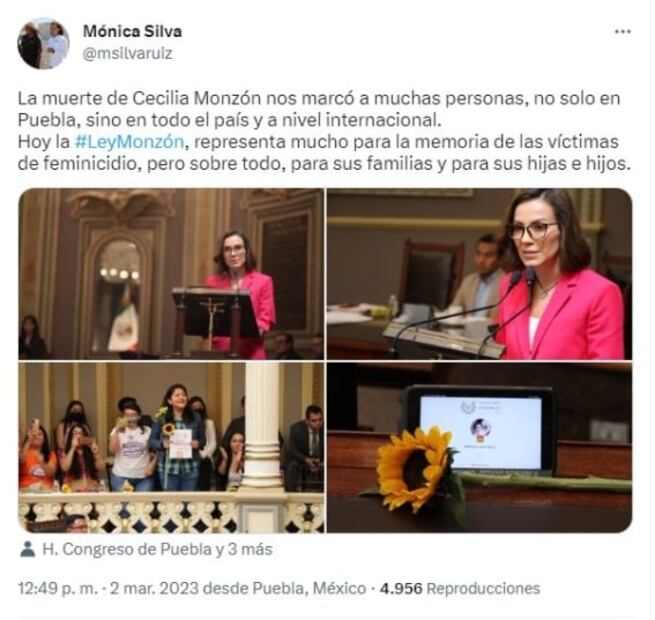 ¿Qué plantea la Ley Monzón que se aplicará en Puebla?