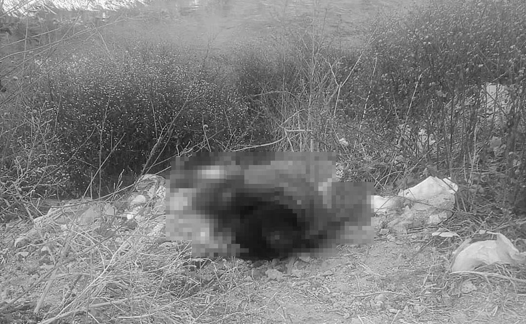 Foto: Ignacio Ramírez. EL UNIVERSAL